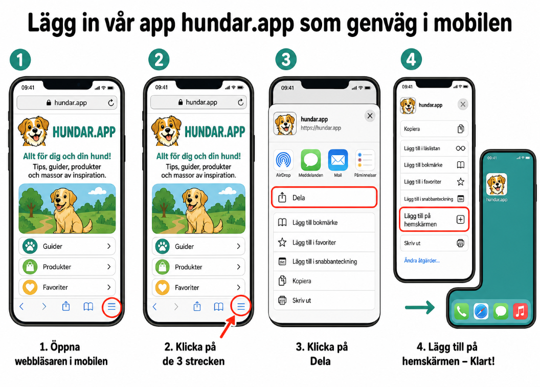 Lägg in vår app hundar.app som genväg i mobilen